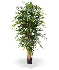 Bambus (180 cm) hind ja info | Kunstlilled | kaup24.ee