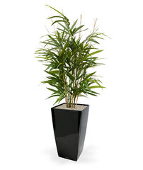 Bambus (70 cm) цена и информация | Искусственные цветы | kaup24.ee