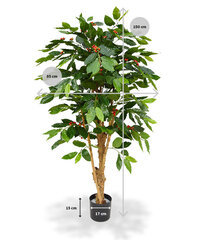 Araabia kohvipuu (150 cm) цена и информация | Искусственные цветы | kaup24.ee