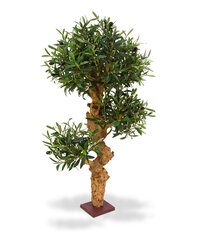 Oliivipuu bonsai (90 cm) hind ja info | Kunstlilled | kaup24.ee