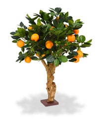 Apelsinipuu bonsai (65 cm) hind ja info | Kunstlilled | kaup24.ee