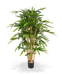Bambus (120 cm) цена и информация | Искусственные цветы | kaup24.ee