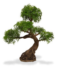 Põõsas-tarasarik bonsai UV-kaitsega (90 cm) цена и информация | Искусственные цветы | kaup24.ee