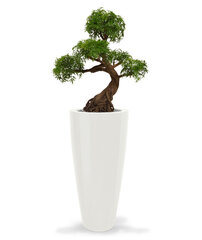 Põõsas-tarasarik bonsai UV-kaitsega (90 cm) hind ja info | Kunstlilled | kaup24.ee