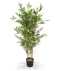 Jaapani bambus UV-kaitsega (125 cm) цена и информация | Искусственные цветы | kaup24.ee