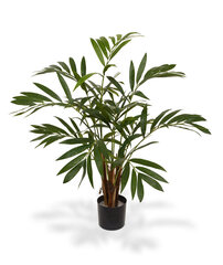 Vääris-mägipalm (85 cm) hind ja info | Kunstlilled | kaup24.ee