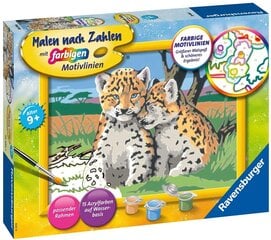 Värvimismaal Ravensburger, 18 x 24 cm "Leopardid", Li R28486 цена и информация | Живопись по номерам | kaup24.ee