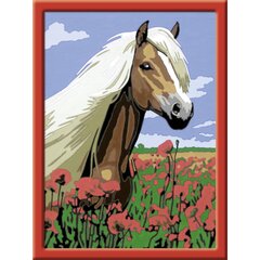 Картина по номерам Ravensburger, 18Х24см "Лошадь в маках", Li R28652 цена и информация | Живопись по номерам | kaup24.ee