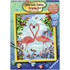 Värvi numbri järgi Ravensburger, 30 x 24 cm "Flamingo Love", Li R28901 цена и информация | Живопись по номерам | kaup24.ee