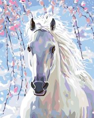 Kартины по номерам "Волшебная лошадь 1" 40x50 G цена и информация | Живопись по номерам | kaup24.ee