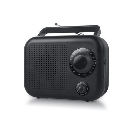 New-One Portable 2 R210 hind ja info | Raadiod ja äratuskellad | kaup24.ee