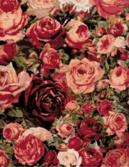 Maalid numbrite järgi "Roses roses" 40x50 G hind ja info | Maalid numbri järgi | kaup24.ee