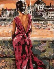 Maalid numbrite järgi "The girl in the red dress 2" 40x50 G hind ja info | Maalid numbri järgi | kaup24.ee