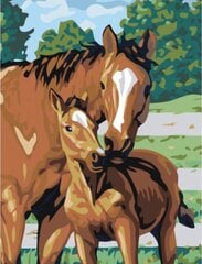 Maalid numbrite järgi "Horse with a foal" 30x40 G hind ja info | Maalid numbri järgi | kaup24.ee
