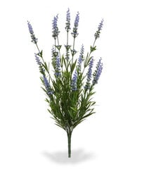 Lavendel UV-kaitsega (53 cm) hind ja info | Kunstlilled | kaup24.ee