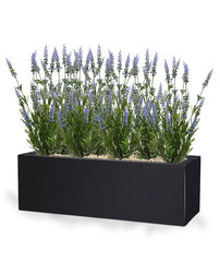 Lavendel UV-kaitsega (53 cm) hind ja info | Kunstlilled | kaup24.ee