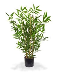 Jaapani bambus UV-kaitsega (60 cm) цена и информация | Искусственные цветы | kaup24.ee