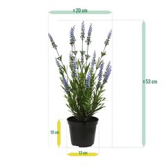 Lavendel UV-kaitsega (53 cm) hind ja info | Kunstlilled | kaup24.ee