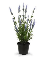 Lavendel UV-kaitsega (53 cm) hind ja info | Kunstlilled | kaup24.ee