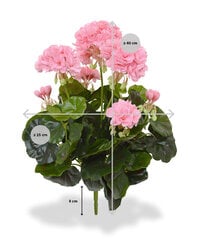 Pelargoon (40 cm) цена и информация | Искусственные цветы | kaup24.ee
