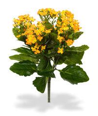 Kalanhoe (35 cm) цена и информация | Искусственные цветы | kaup24.ee