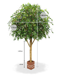 Tulekindel viigipuu (290 cm) hind ja info | Kunstlilled | kaup24.ee