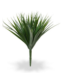 Bambus (28 cm) цена и информация | Искусственные цветы | kaup24.ee