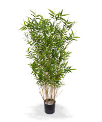 Bambus (100 cm) цена и информация | Искусственные цветы | kaup24.ee