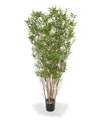 Bambus (165 cm) цена и информация | Искусственные цветы | kaup24.ee