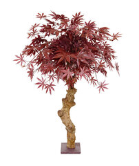 Vaher bonsai (85 cm) hind ja info | Kunstlilled | kaup24.ee