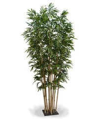 Bambus alusel (400 cm) hind ja info | Kunstlilled | kaup24.ee
