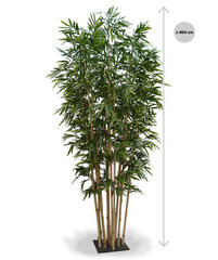 Bambus alusel (400 cm) цена и информация | Искусственные цветы | kaup24.ee