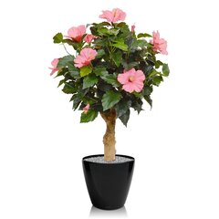 Hibisk (65 cm) hind ja info | Kunstlilled | kaup24.ee