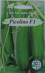 Kurk Picolino F1 hind ja info | Köögivilja-, marjaseemned | kaup24.ee