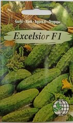 Огурцы Excelsior F1 цена и информация | Семена овощей, ягод | kaup24.ee