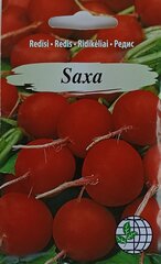 Редис Saxa, 2 шт цена и информация | Семена овощей, ягод | kaup24.ee