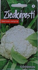 Lillkapsas Goodman цена и информация | Семена овощей, ягод | kaup24.ee