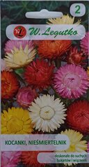 Helichrysum bracteatum, segatud, 2 tk цена и информация | Семена цветов | kaup24.ee