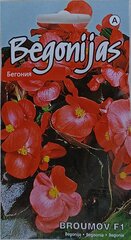 Begoonia Broumov F1 hind ja info | Lilleseemned | kaup24.ee