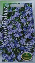 Lobeelia Crystal Palace, 2 tk hind ja info | Lilleseemned | kaup24.ee