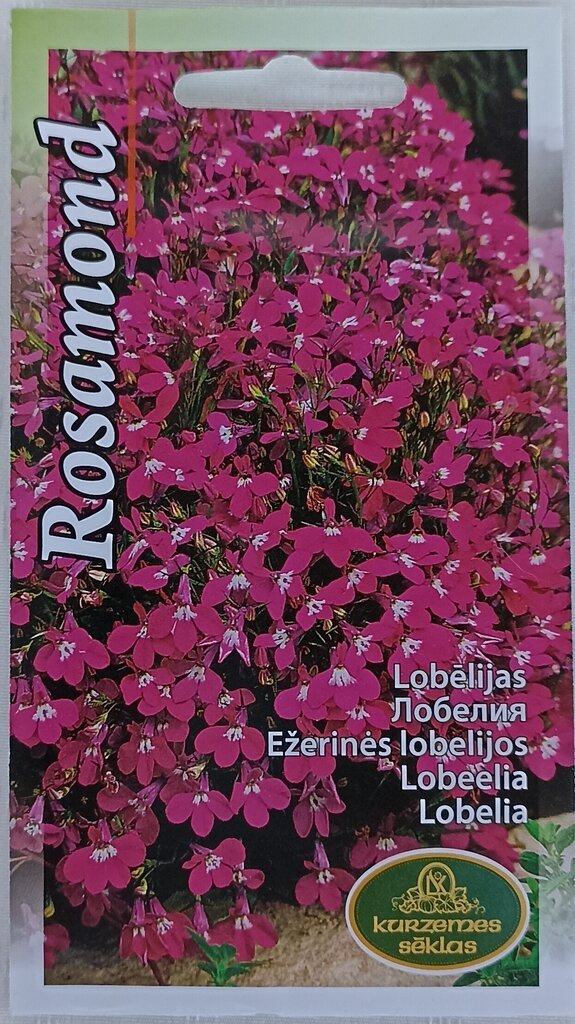 Lobeelia Rosamond, 2 tk hind ja info | Lilleseemned | kaup24.ee