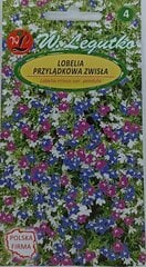 Лобелия свисающая цена и информация | Зайцехвост яйцевидный | kaup24.ee