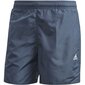 Ujumispüksid Adidas Solid CLX SH SL M FJ3377, 52141 цена и информация | Ujumispüksid, shortsid | kaup24.ee