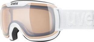 Лыжные очки Uvex 55/0/448/1030 цена и информация | Лыжные очки | kaup24.ee