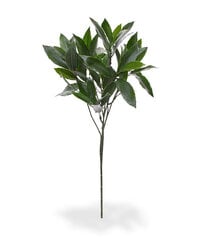 Loorberipuu UV-kaitsega (50 cm) цена и информация | Искусственные цветы | kaup24.ee