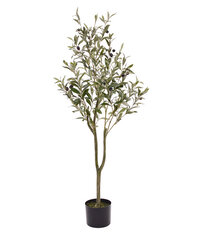 Oliivipuu (120 cm) цена и информация | Искусственные цветы | kaup24.ee