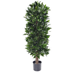 Loorberipuu UV-kaitsega (125 cm) цена и информация | Искусственные цветы | kaup24.ee
