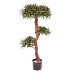 Kivijugapuu bonsai UV-kaitsega (105 cm) hind ja info | Kunstlilled | kaup24.ee