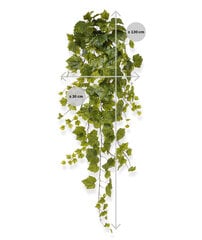 Viinapuu (130 cm) цена и информация | Искусственные цветы | kaup24.ee