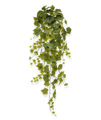 Viinapuu (130 cm) цена и информация | Искусственные цветы | kaup24.ee